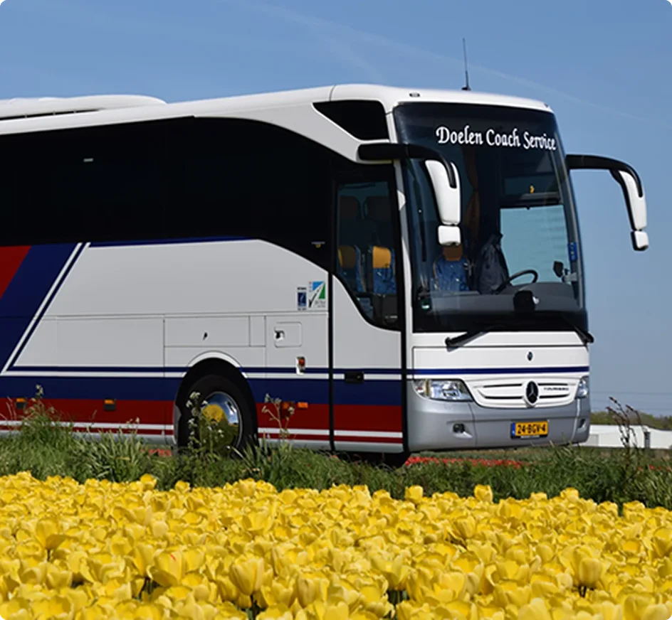 Witte touringcar van Doelen Coach Service geparkeerd naast een veld met gele tulpen onder een blauwe hemel.