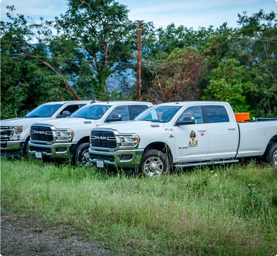 Three white RAM pickup trucks parked in a grassy area with trees in the background, one displaying an ACE company logo.