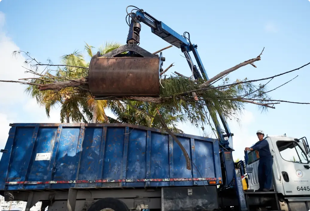 Crane lifting tree debris into blue dumpster on truck with operator standing nearby against palm tree backdrop.