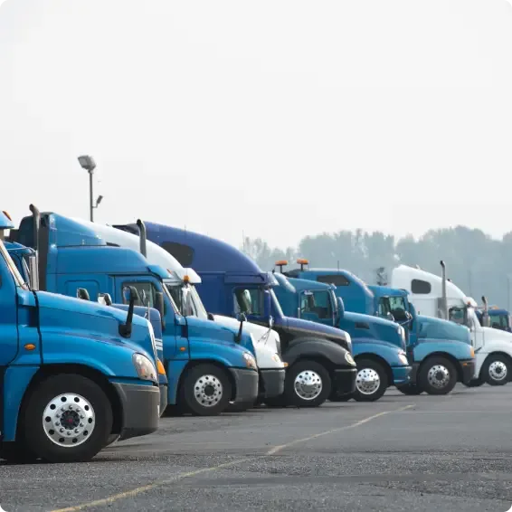 Row of semi trucks parked in a lot, mostly blue with some white, lined up against a misty background.