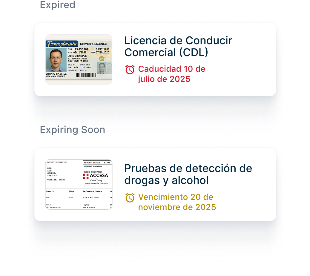 Muestra licencia CDL que vence en julio 2025 y certificación de prueba de drogas que vence en noviembre 2025.