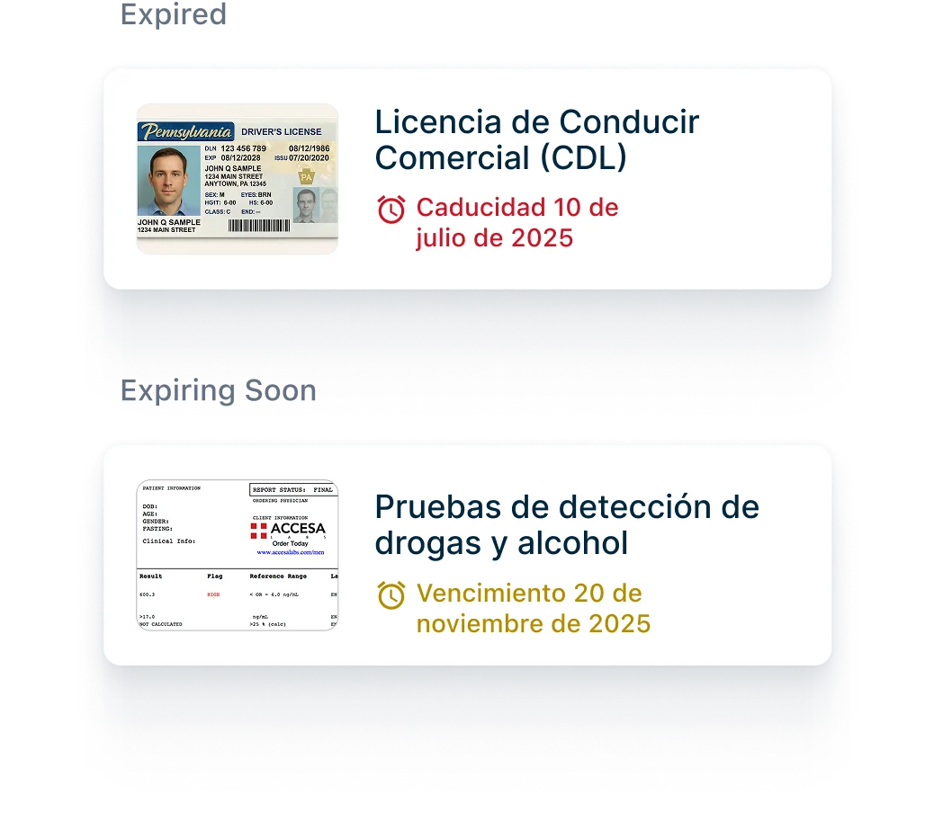 Muestra licencia CDL que vence en julio 2025 y certificación de prueba de drogas que vence en noviembre 2025.