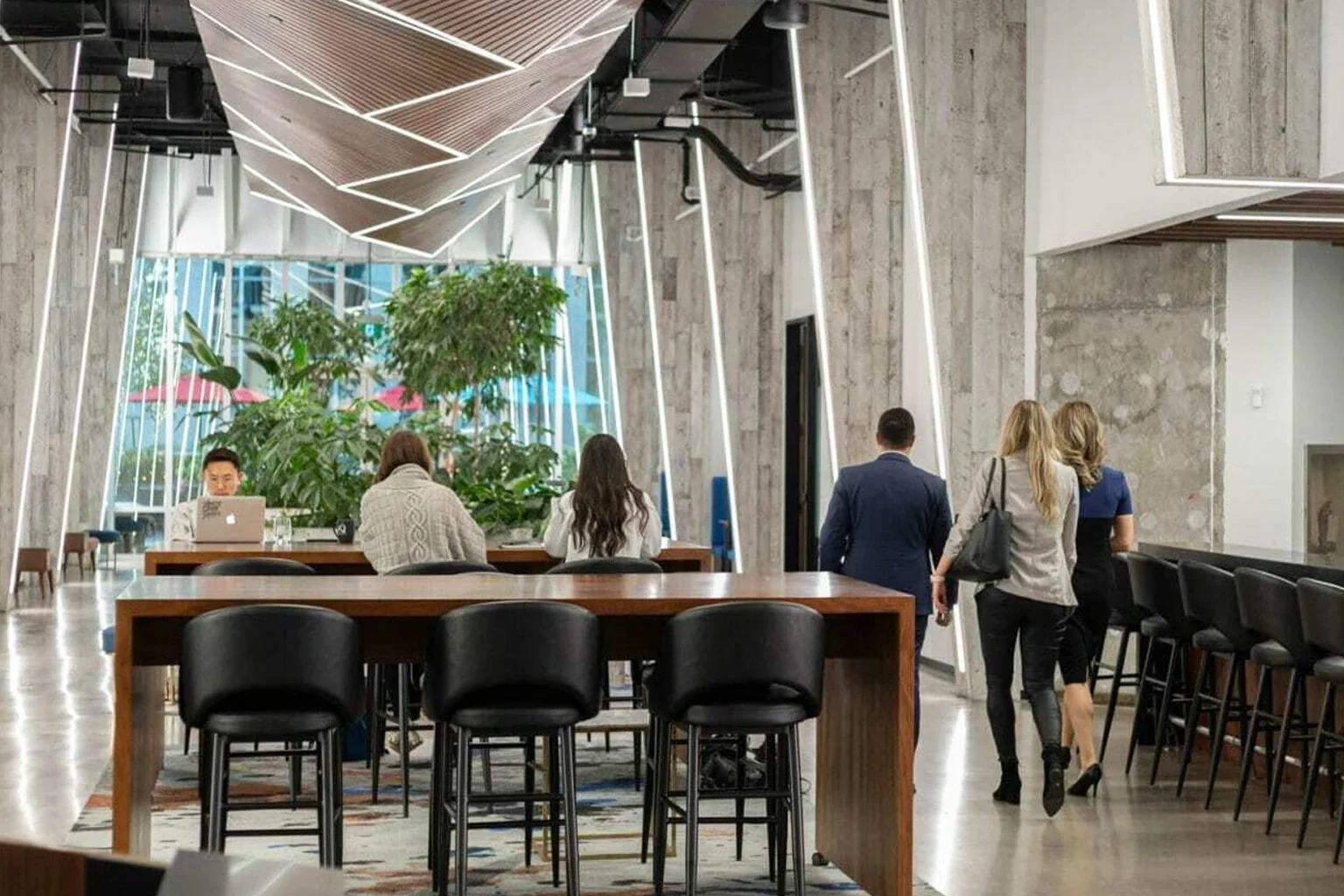 Modern coworking space with wooden tables, black chairs, concrete walls and decorative ceiling design featuring indoor plants