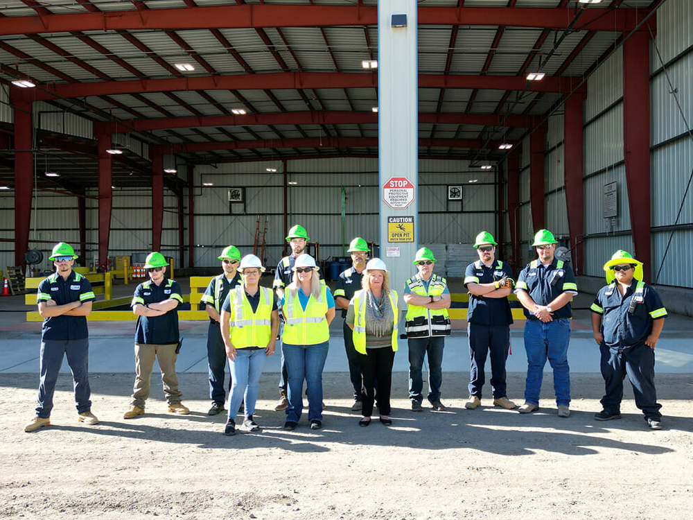 VLS Environmental group pic