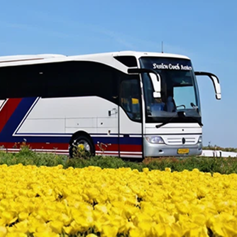 bus driving past field of flowers