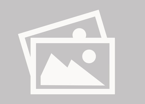 Plan, Act, Recover: Disaster Preparedness in Physical Operations