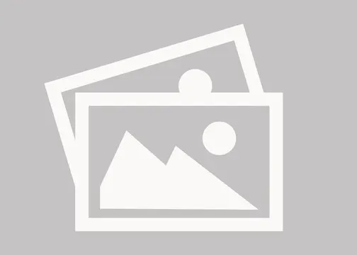 Plan, Act, Recover: Disaster Preparedness in Physical Operations