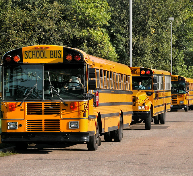 Yellow school buses lined up in a row on a road with green trees in the background.
