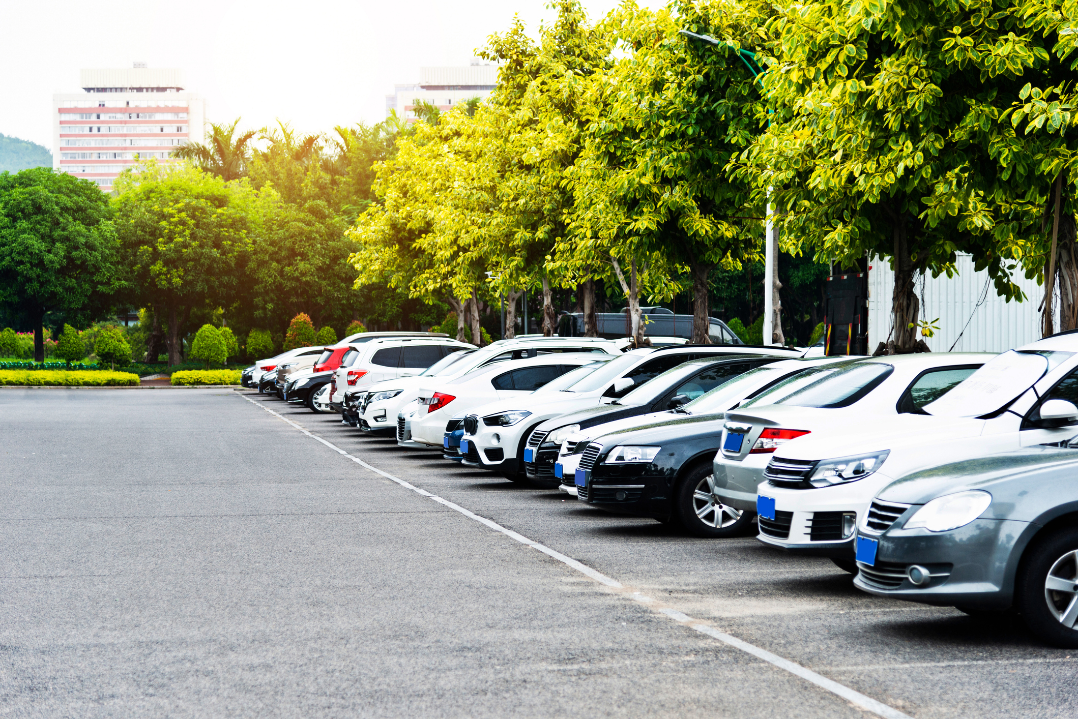 Row of parked cars in a tree-lined parking lot with apartment buildings visible in the background.