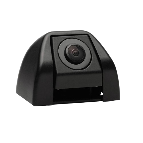 Fisheye Auxiliary Camera