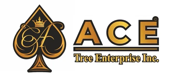 Ace Tree Logo