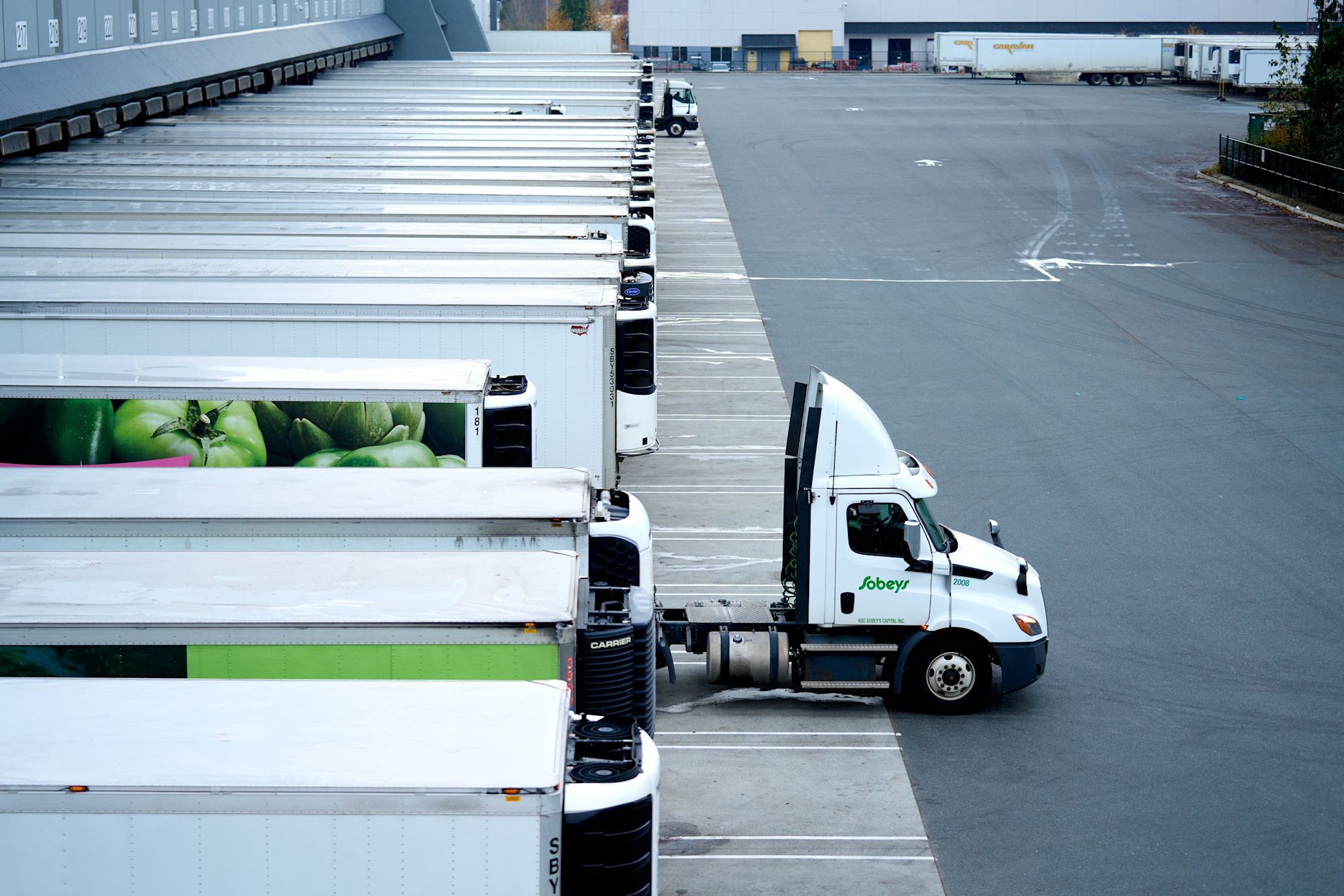 Multiple white Sobeys delivery trucks with green vegetable graphics docked at a large distribution warehouse loading bay.
