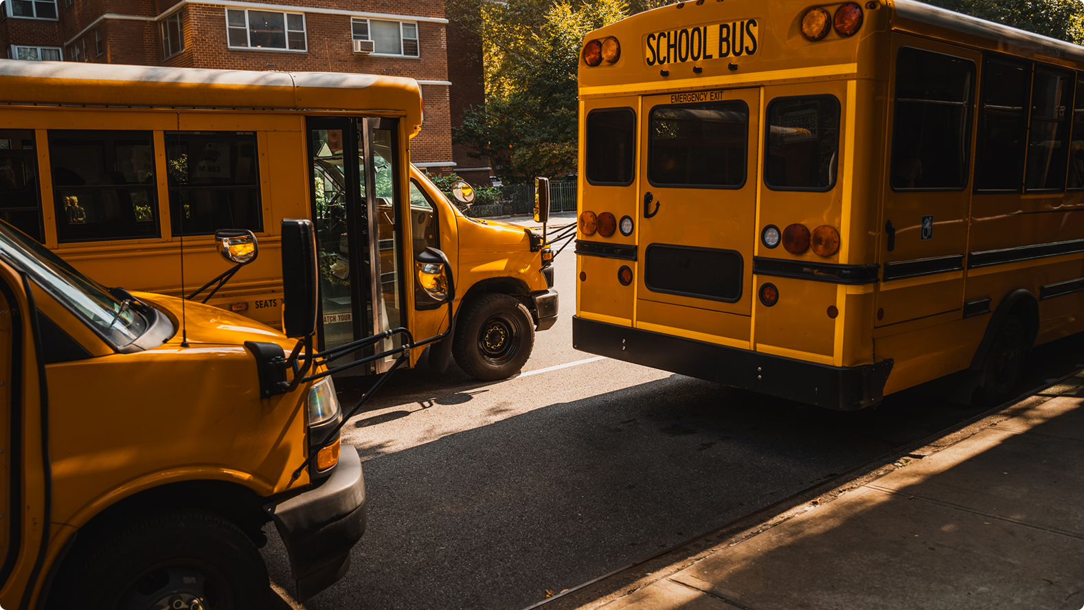Yellow school buses parked in a row outside a brick apartment building on a sunny day.