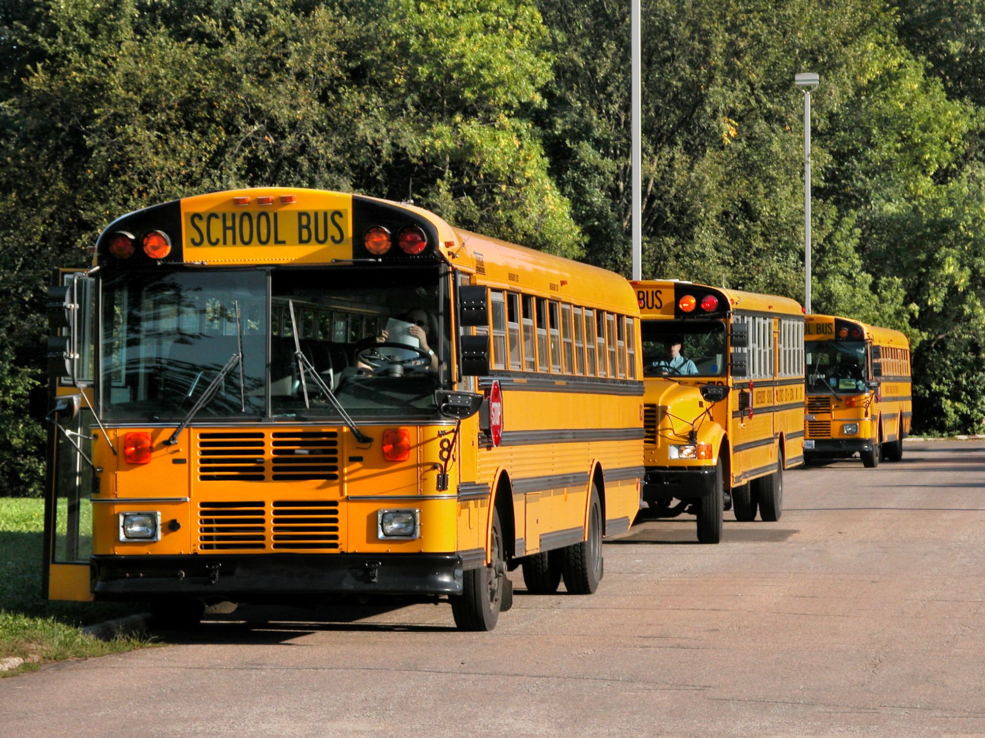 School buses in a line