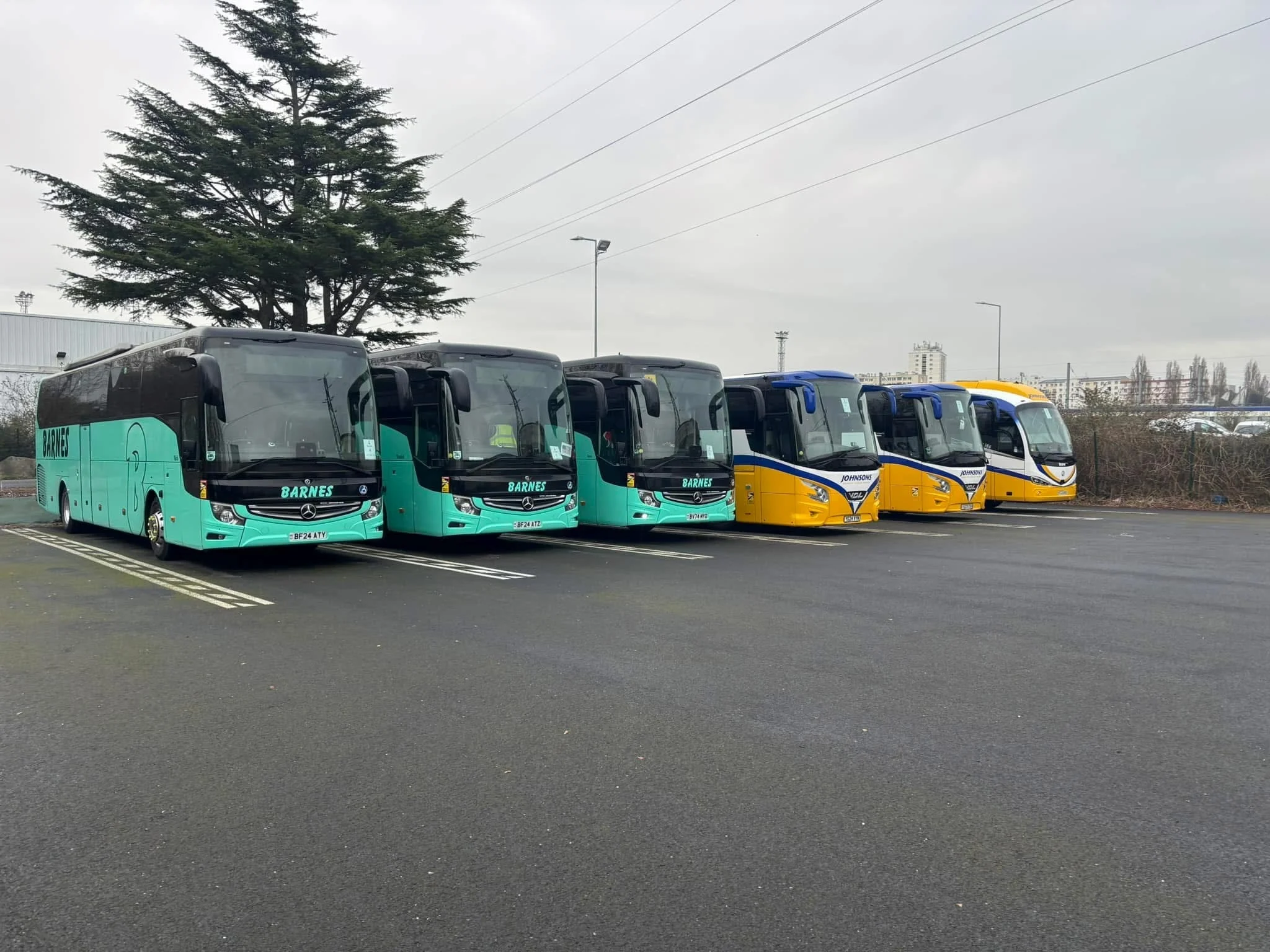 Six coaches parked in a row, three teal Barnes coaches and two yellow and blue Johnsons coaches, in an overcast car park.