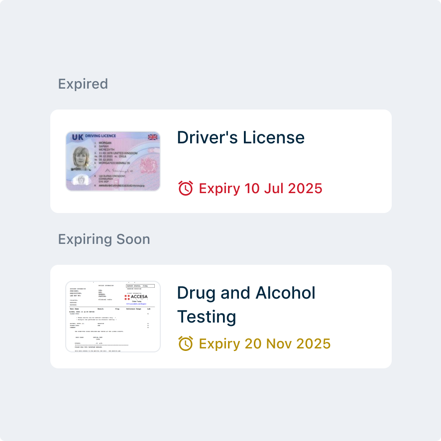 Digital interface showing expired CDL licence and drug-testing document with upcoming November 2025 expiry date.