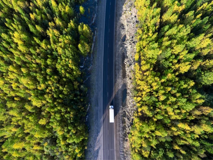 Truck Driving on Road in Forest of Trees