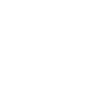 Dash Cam Icon