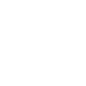 Dash Cam Icon
