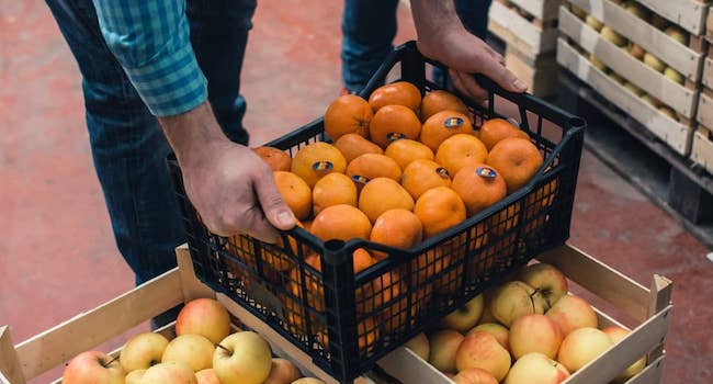 Increasing Food & Beverage Fleet Efficiency with Samsara