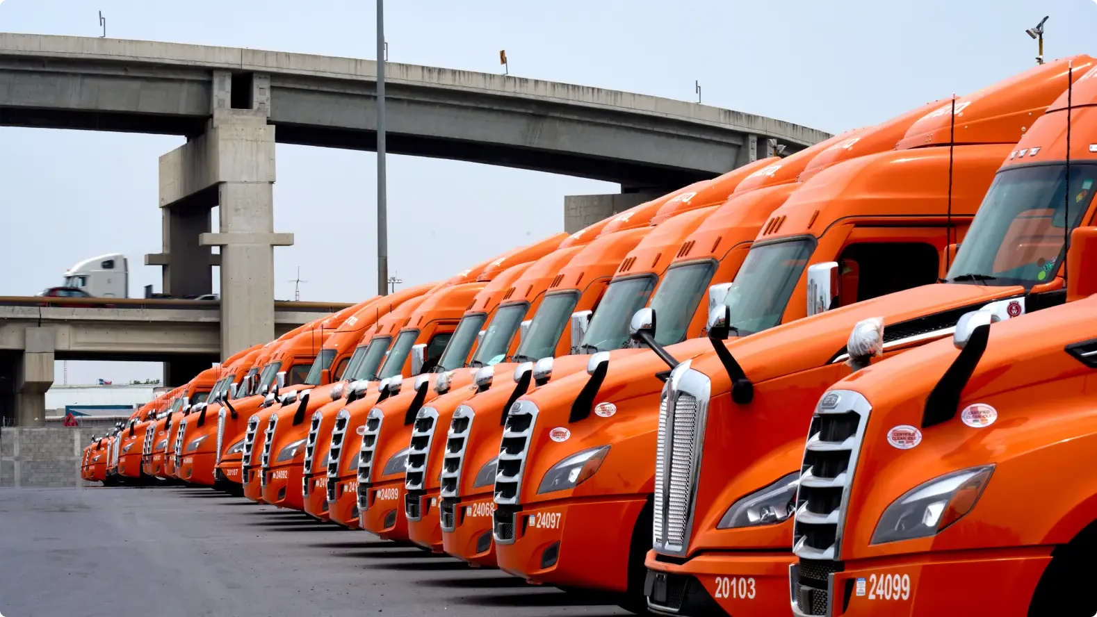Row of bright orange semi trucks parked in line under a highway overpass against a clear blue sky.