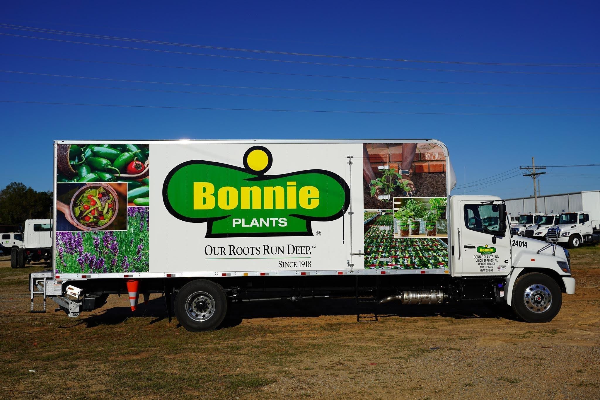 Bonnie Plants Cameras and Video