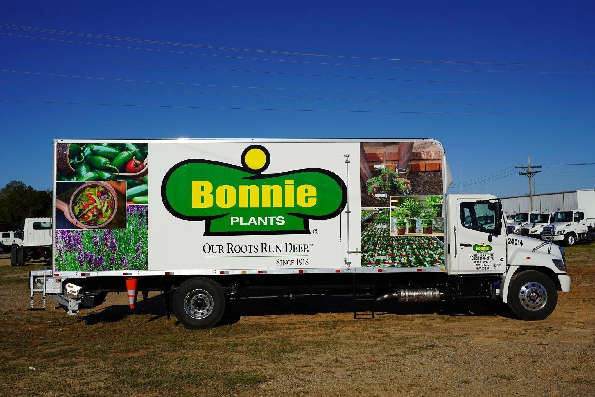 Bonnie Plants Cameras and Video