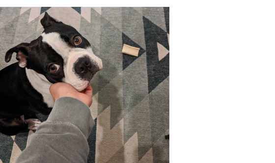 Employee Spotlight: Zoe Demertzis — Image #5