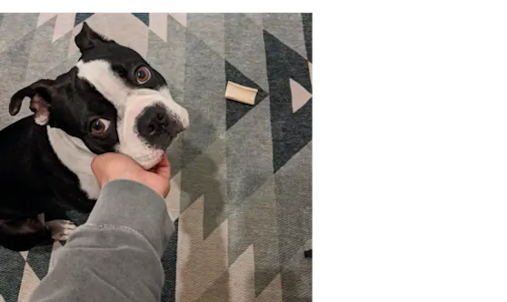 Employee Spotlight: Zoe Demertzis — Image #5