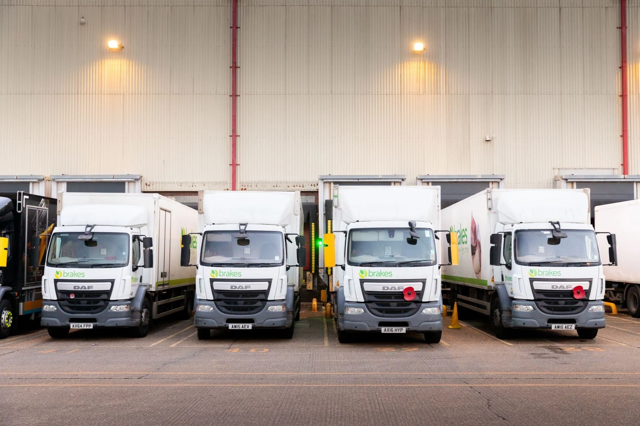 Four white Brakes DAF delivery lorries parked at a warehouse loading dock, some displaying red poppies on their grilles.