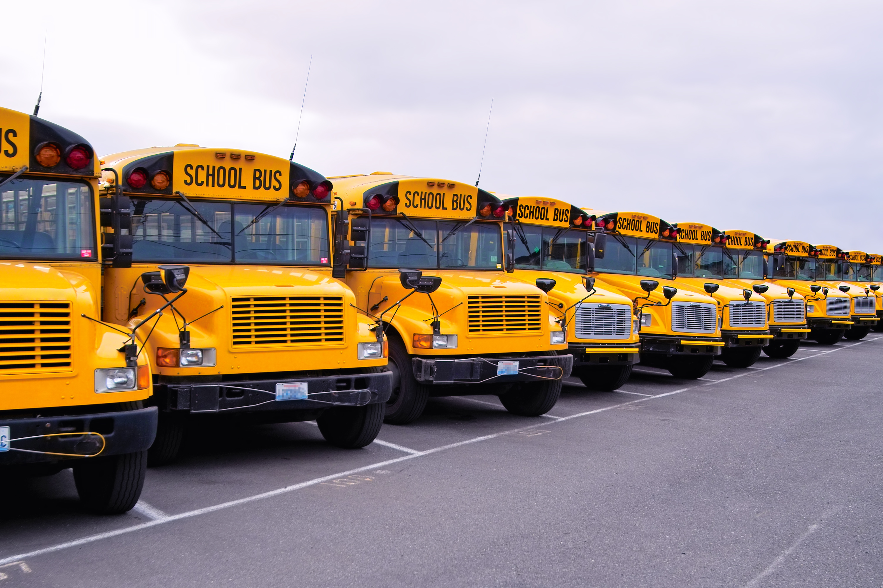 School buses parked