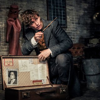 Extratorrent Extratorrent