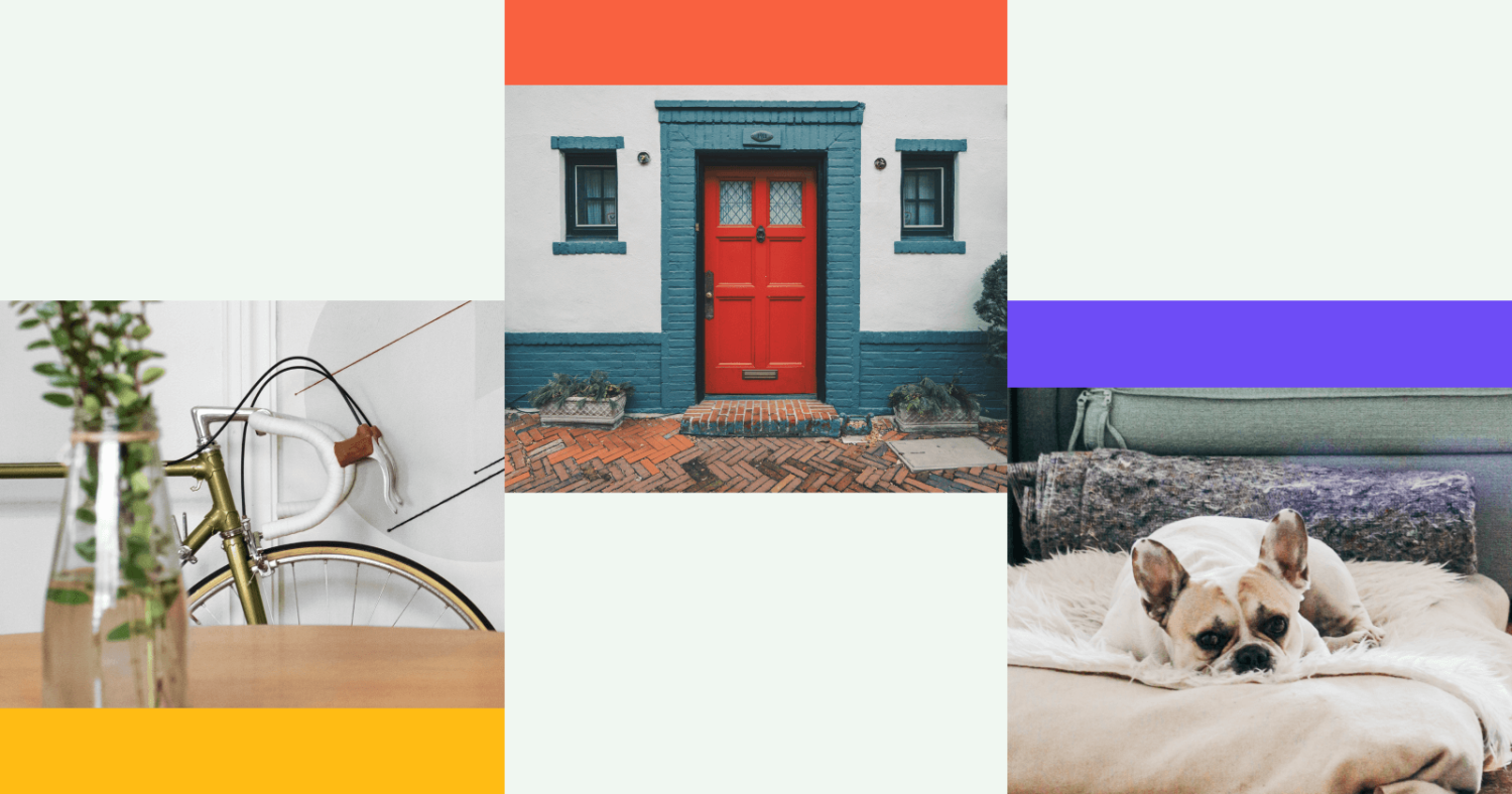 Header with Three Separate Block Images Within of a Bicycle, Stylish Red Door, and a Dog on a Bed