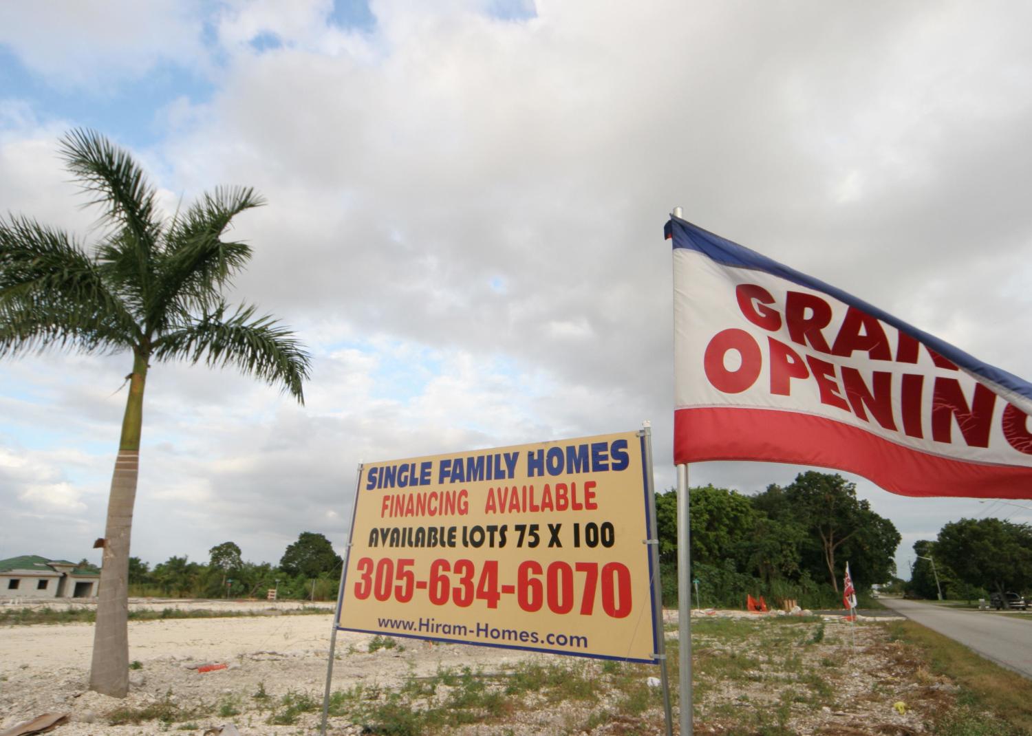 Empty Lot with single palm tree, sign, and Grand Opening flag - Source: Jeffrey Greenberg/Universal Images Group // Getty Images