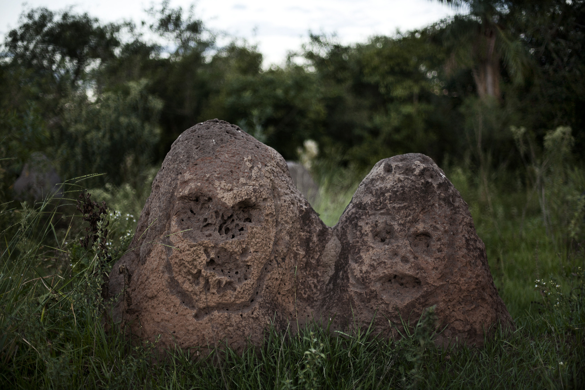 The Land of No Evil-15