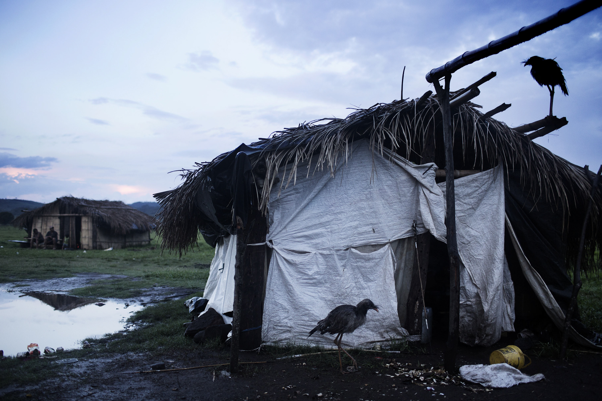 The Land of No Evil-5