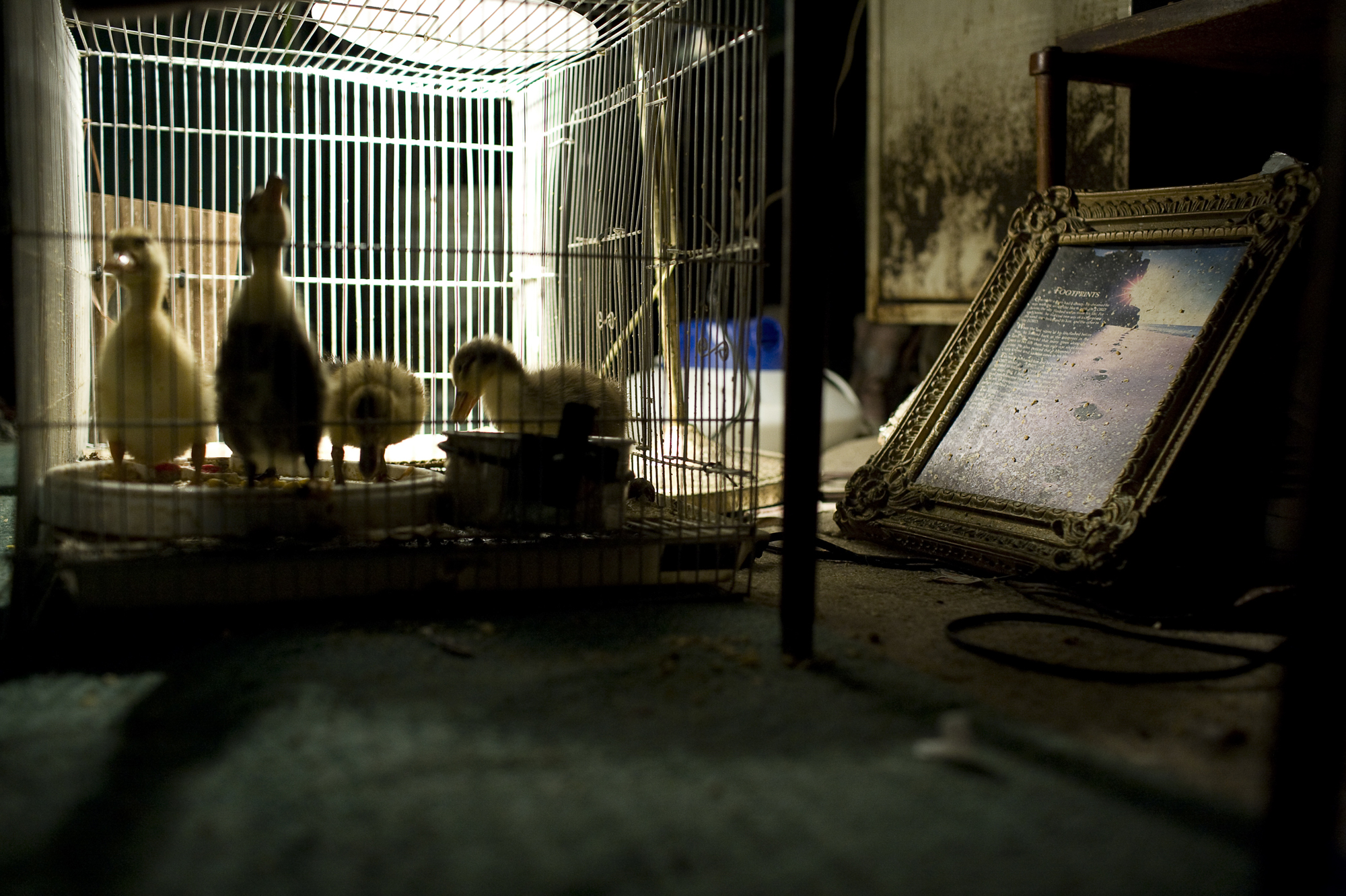 Oniontown (25 of 30)