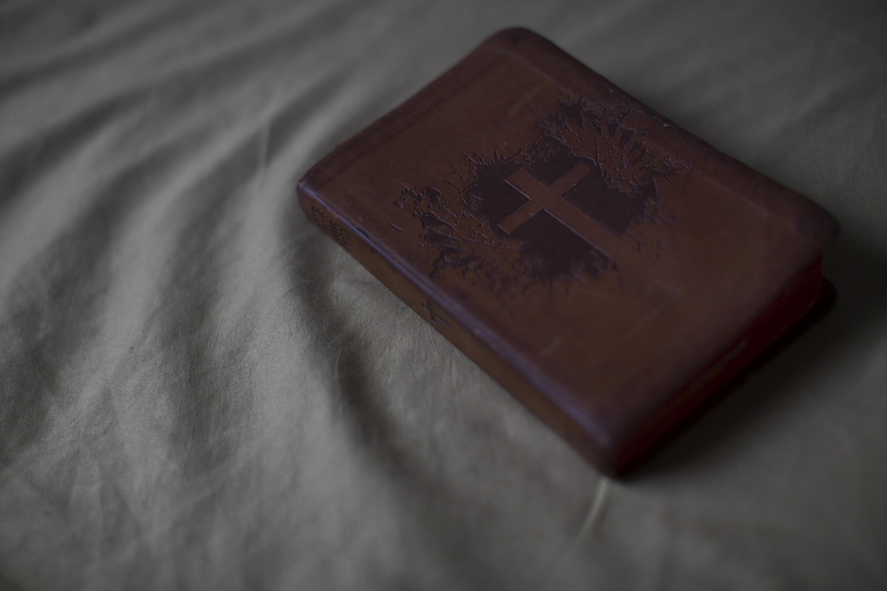 Borra y Vida Nueva-3