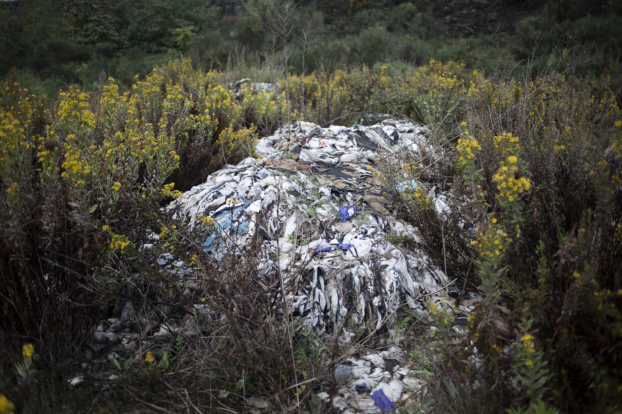 Land of Fire (17 of 20)