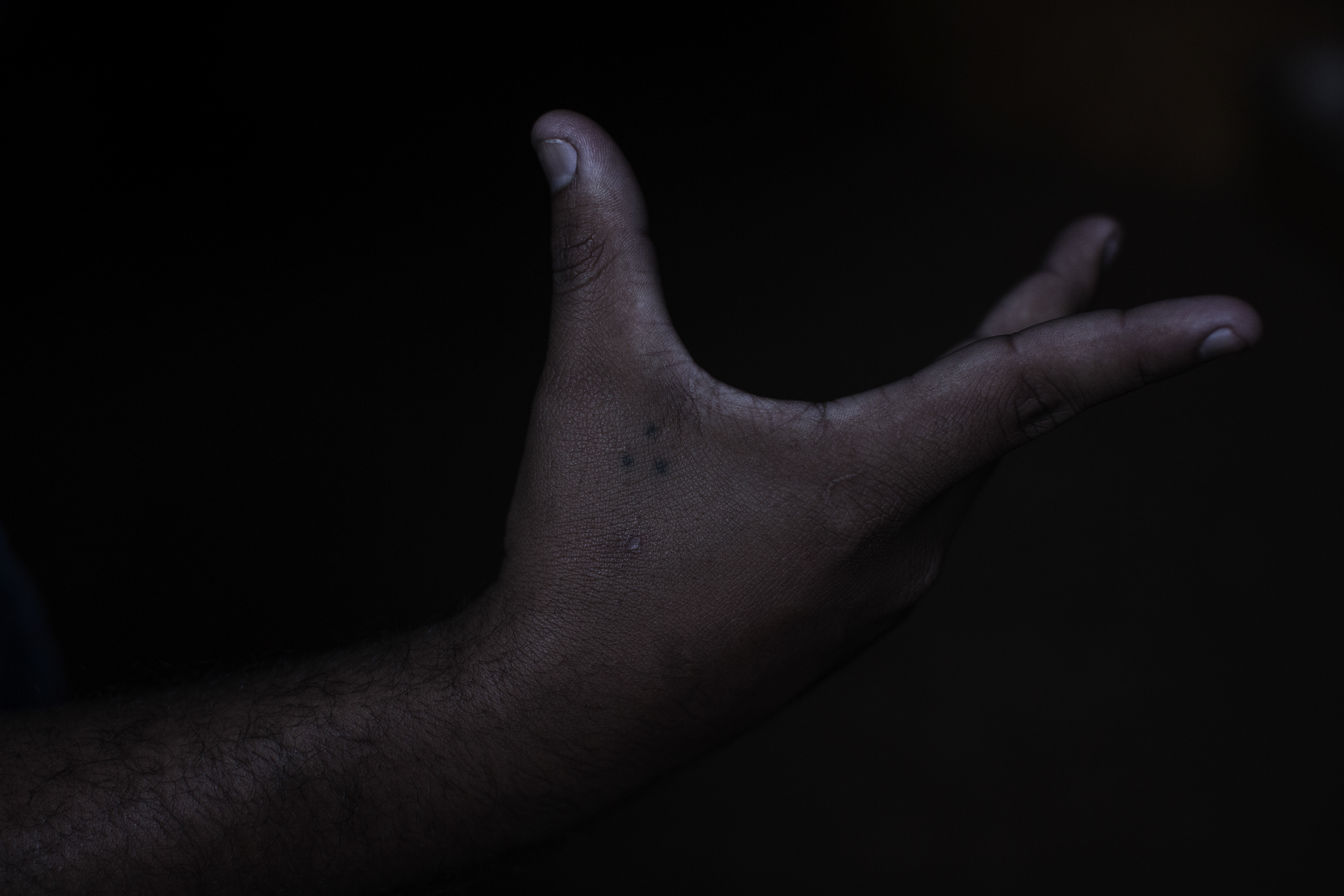 Borra y Vida Nueva-20