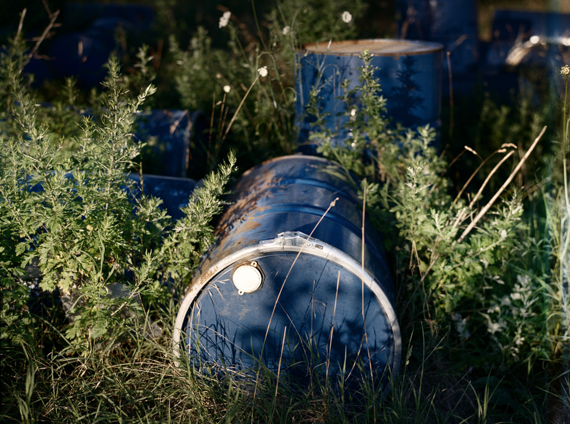 Land of Fire (20 of 20)