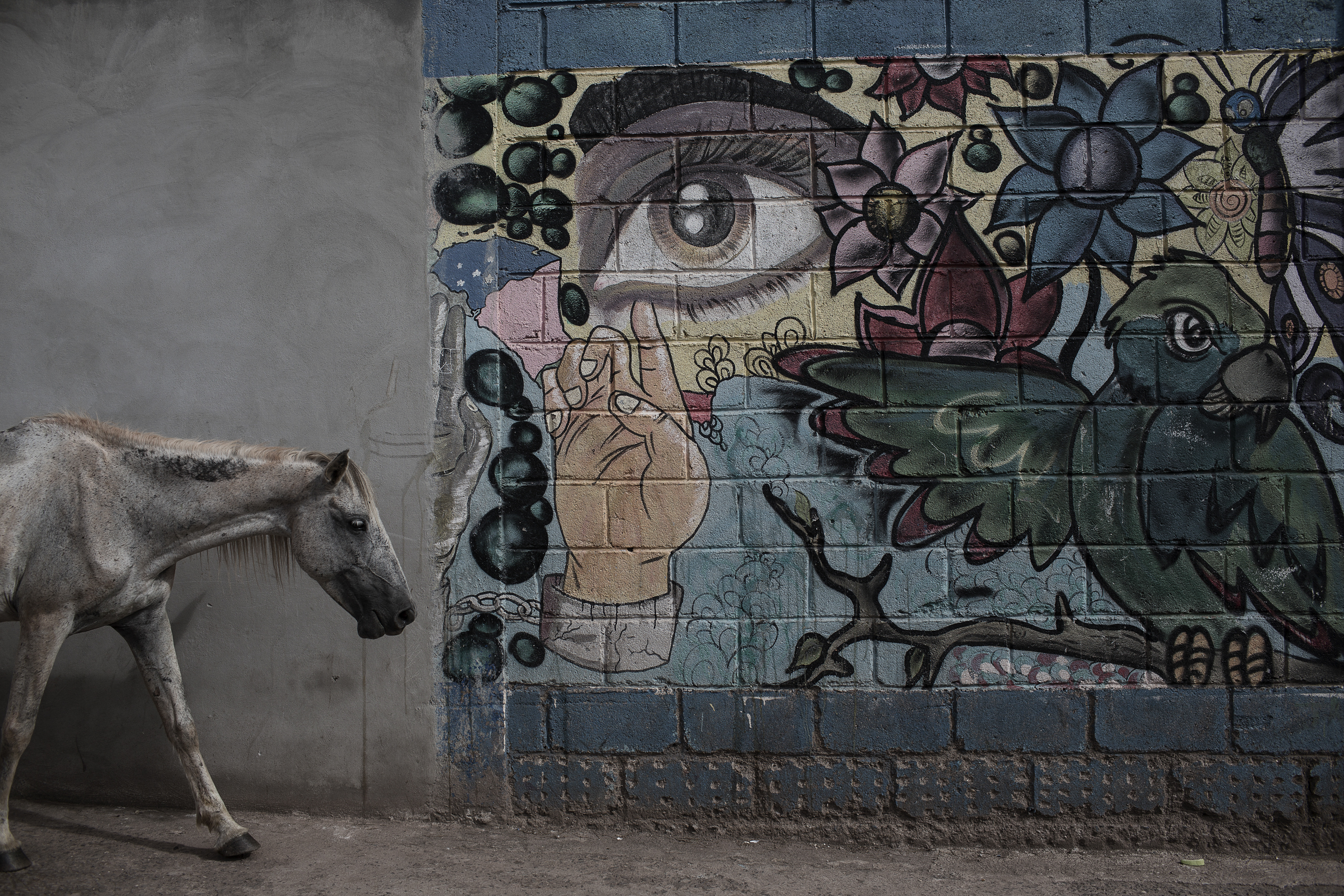 Borra y Vida Nueva-19