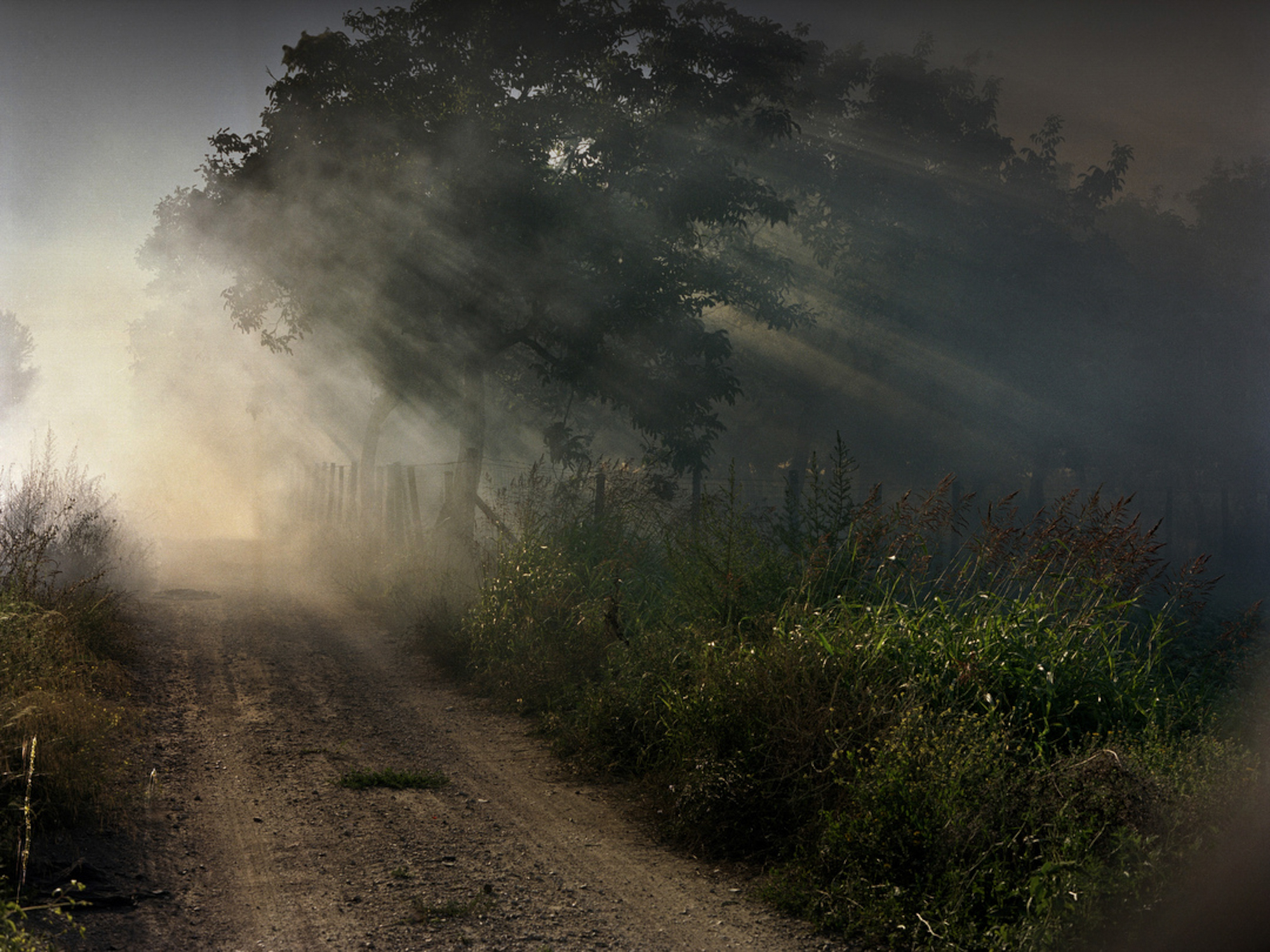 Land of Fire (4 of 20)