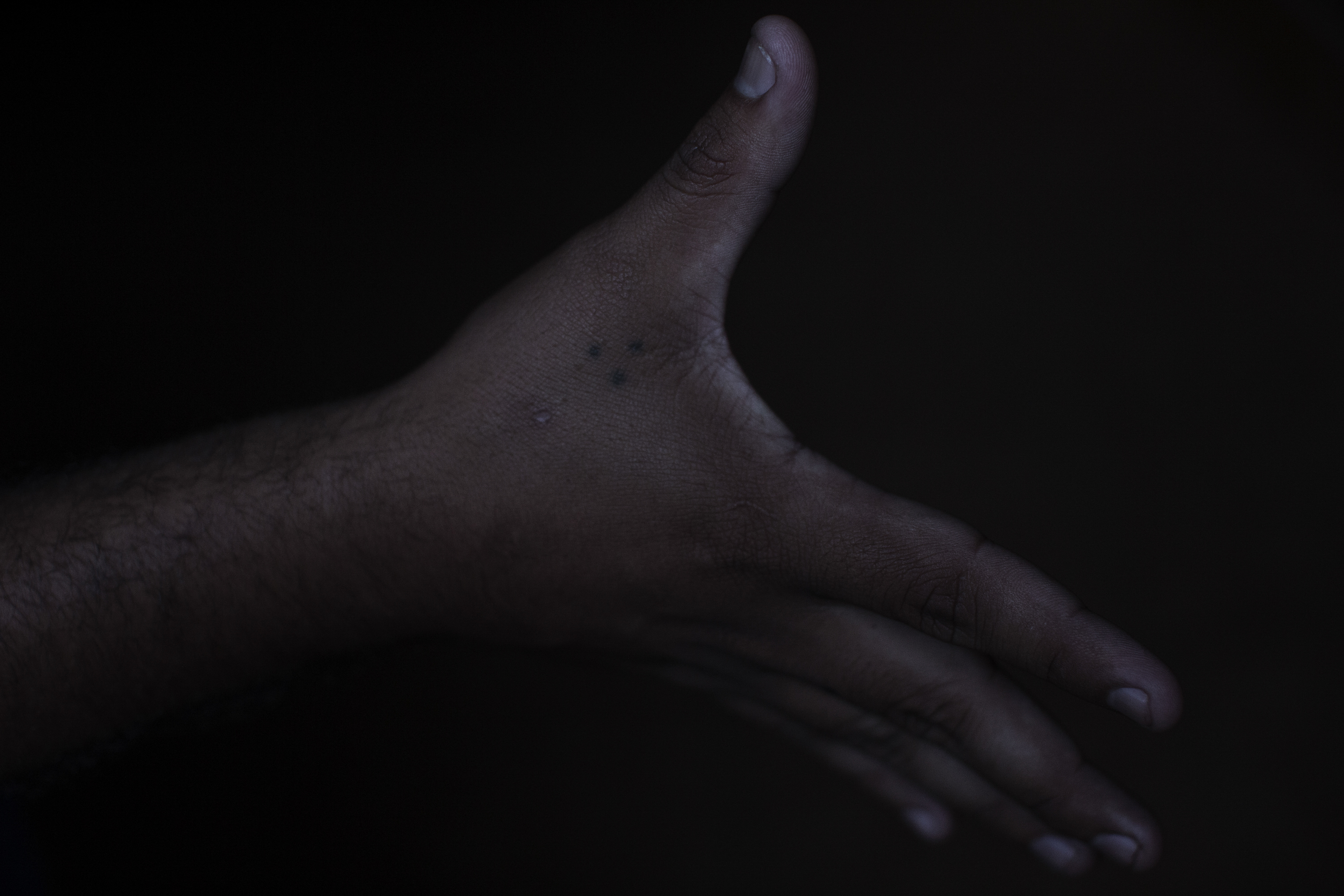 Borra y Vida Nueva-18