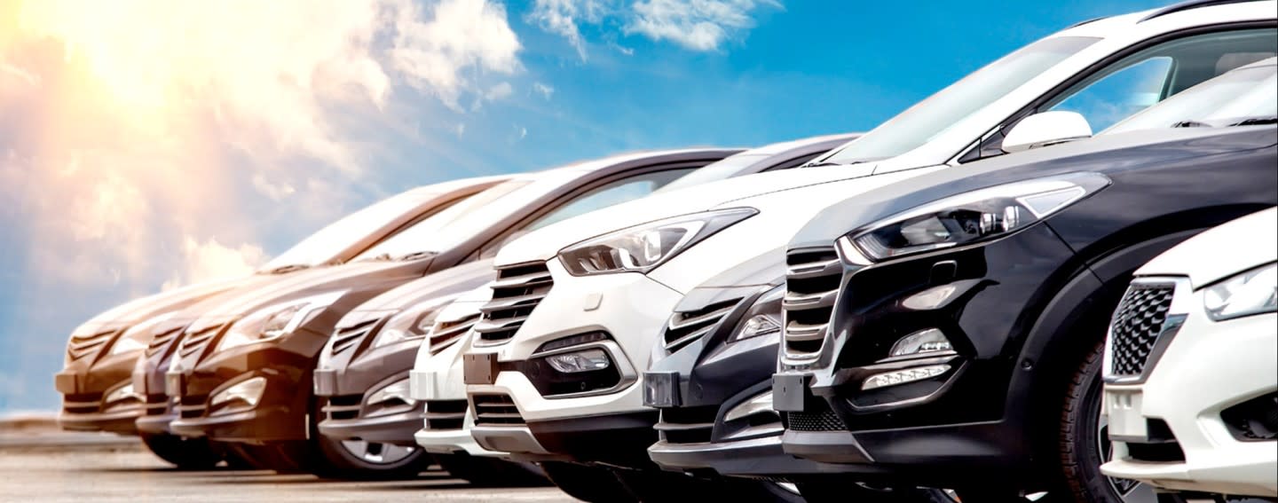 A-curved-line-up-of-Kia-models-and-builds-parked-on-a-ligh-sun-bleached-stony-plateau-for-Palmen-Kia o