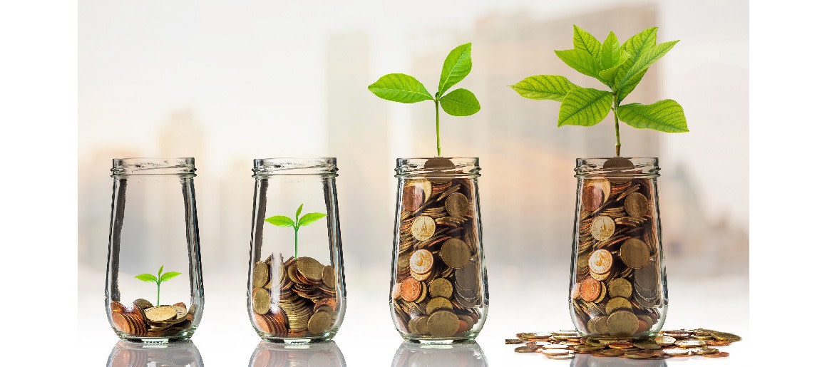 Investor jar money plant