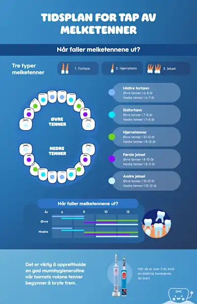 Diagram over når melketenner faller ut