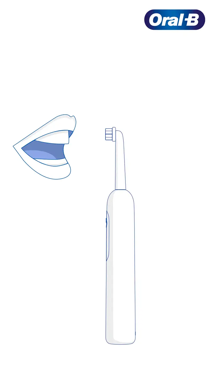 Beskytt tannkjøtt og emalje med trykkvarsling direkte fra Oral-B håndtaket 