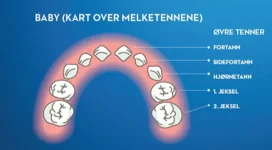 Melketenner barn – når kommer tennene, og hvordan ta vare på melketenner?