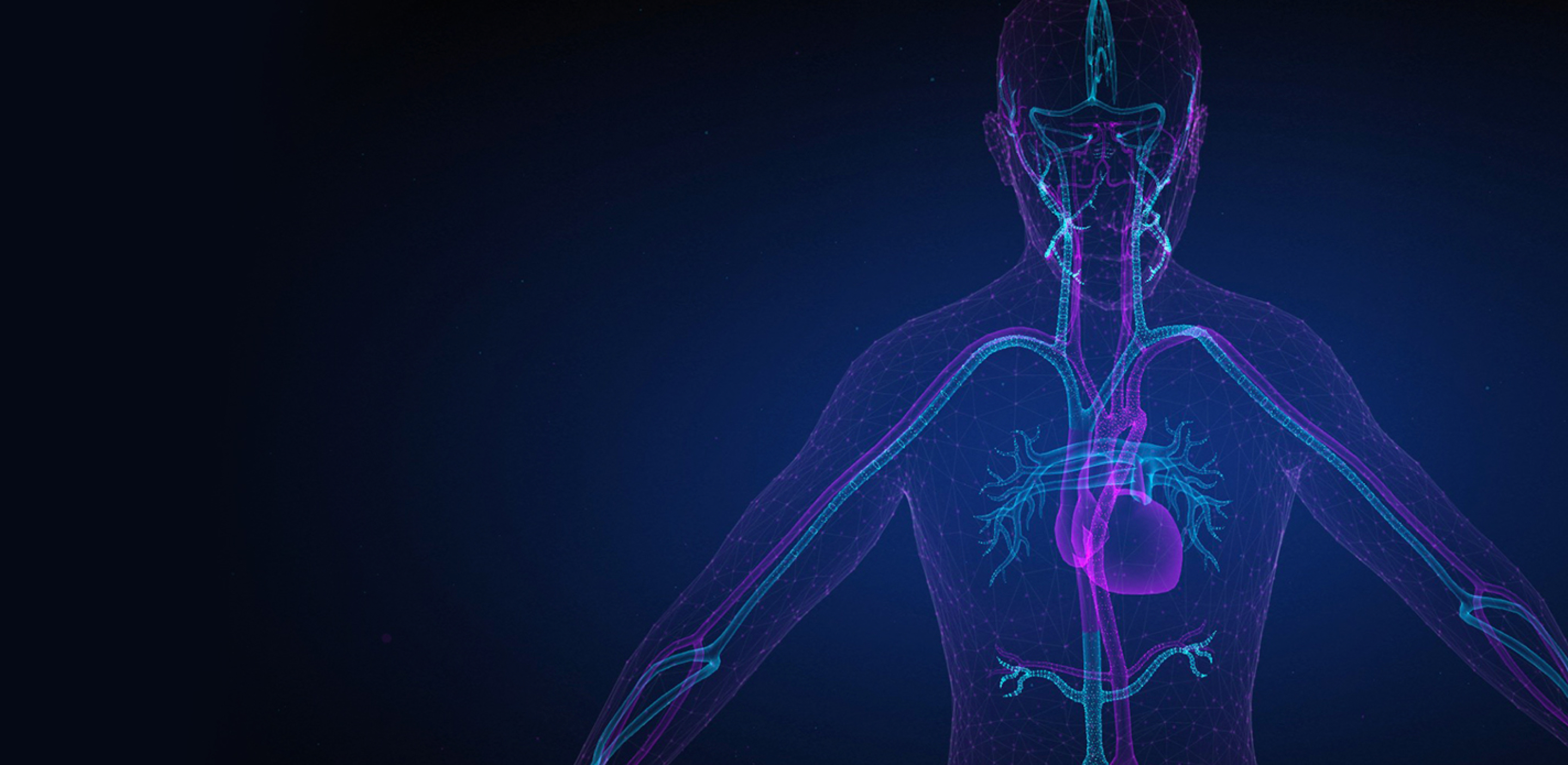 Whole Body Health undefined
